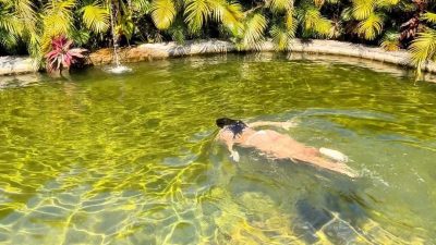 Pousada dos Pássaros – POUSADA DOS PÁSSAROS – @pousada.dospassarosav A pousada possui instalações mod…