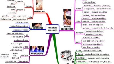 Primeiros Socorros